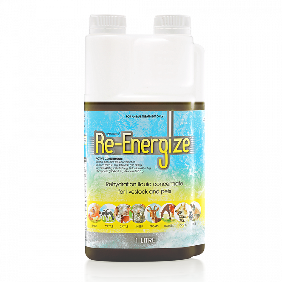 Re-Energize Rehydration Electrolytes