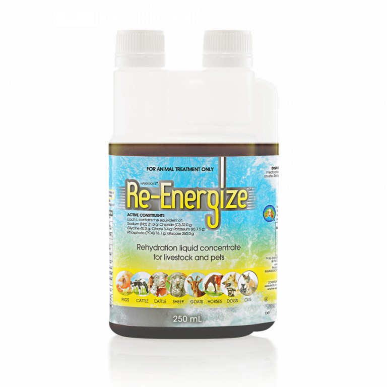 Re-Energize - Rehydration Electrolytes 250ml | Alpaca Dynamics