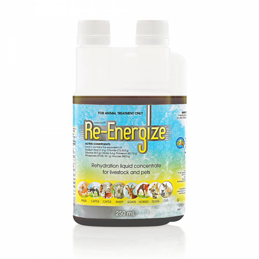 Re-Energise Electrolyte liquid