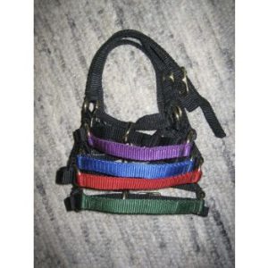 Size Matters! Full Set of 5 Alpaca Halters